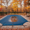 Pool Closing Services: Why Fall Timing Is Everything