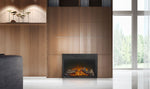 Napoleon Cinema 24-In Electric Fireplace Insert