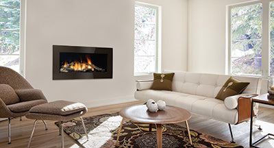 Regency Gas Fireplaces HZ40E