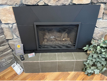 Display Model Fireplace Blowout