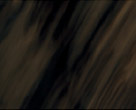 HL 7