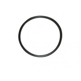 2" Pump O-Ring